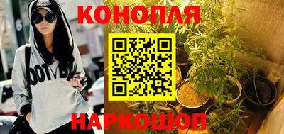 стафф Новодвинск