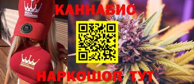 стафф Новодвинск