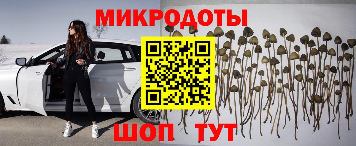 Псилоцибиновые грибы мухоморы Славгород